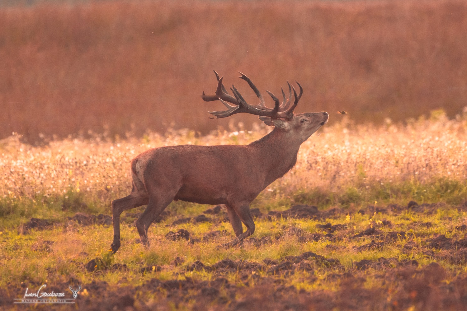 15 september 2023 185632  R2A2052